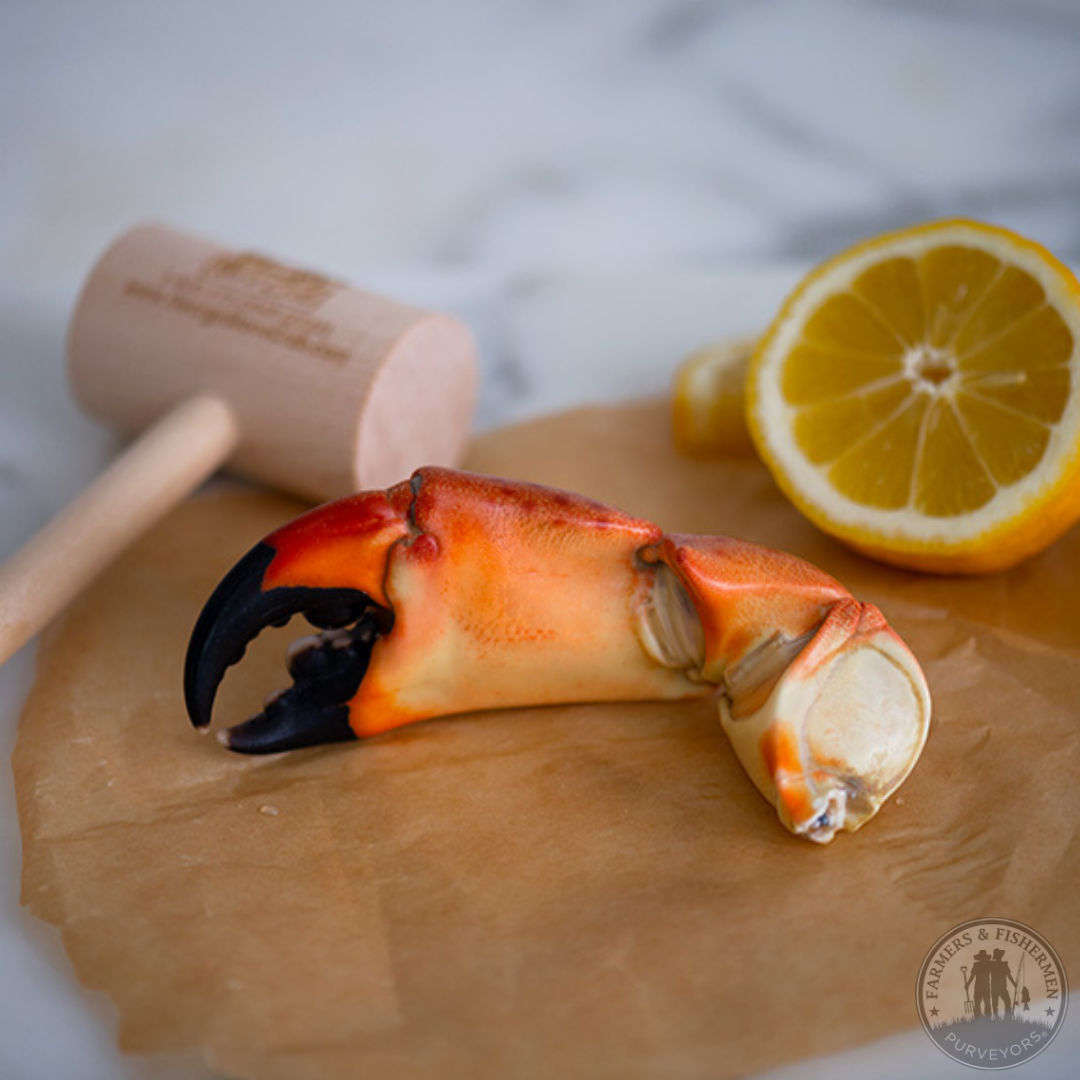 Fresh Large 1lb Stone Crab Claws