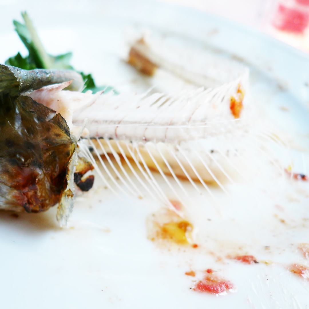 Fish Head(s) & Bone(s) from a White Fish for Gefilte or Stock